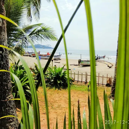 Alegro Beach Homes
